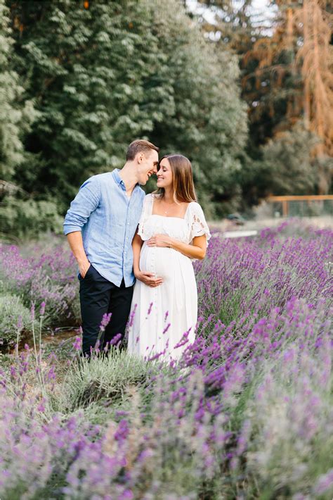 maternity    lavender field film family photographer seattle