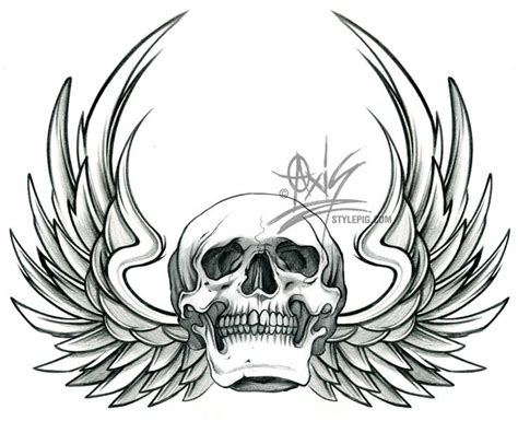 Wing Skull Skulls Drawing Skull Sketch Pirate Skull Tattoos