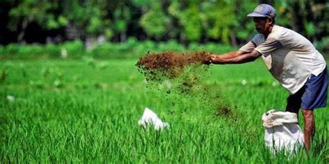 pengertian mikrobiologi pertanian berkelanjutan  indonesia  riset