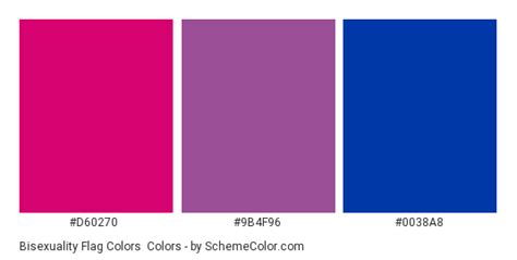 bisexuality flag colors color scheme blue