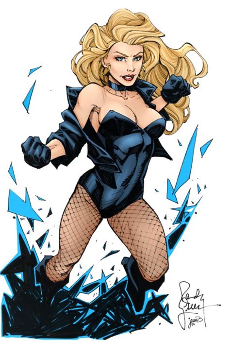 17 Images About Dc Comics Black Canary On Pinterest