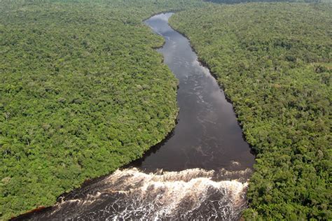 Amazon River Cruise Tips Cruise Critic