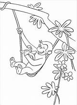 Monkey Coloringhome Malvorlagen Malbuch sketch template