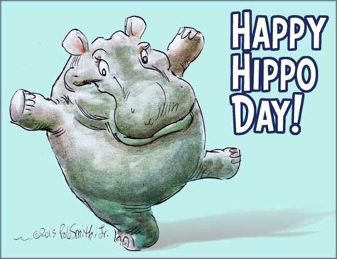 swampys florida  happy hippo day swampys florida