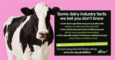 vegan advert banned for wrongly linking cow s milk to cancer metro news