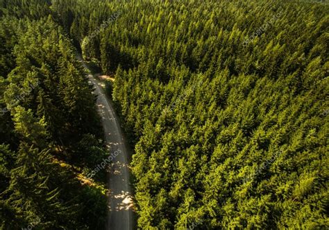 luchtfoto van uitgestrekte bossen stockfoto  lightpoet