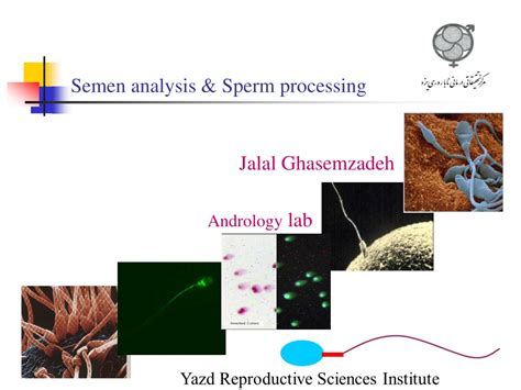 ppt semen analysis and sperm processing powerpoint presentation free