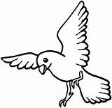 Coloring Pages Bird Flying sketch template