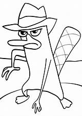 Perry Platypus Coloring Pages sketch template