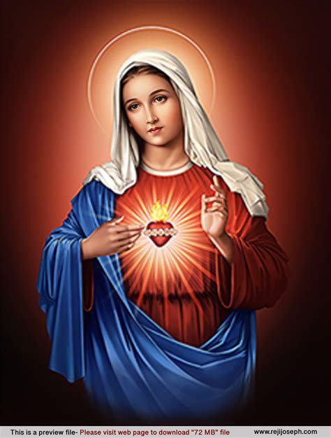 immaculate heart  maryred  mb mother mary images virgin mary