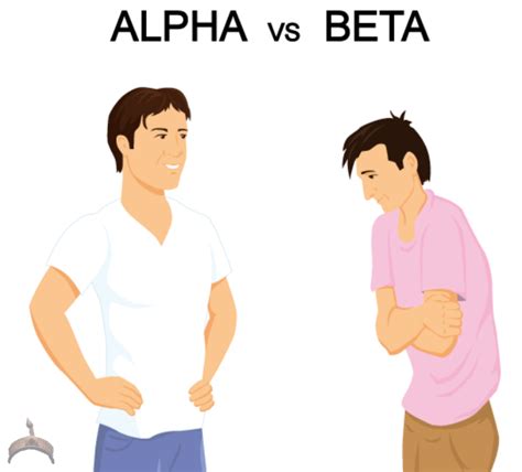 alpha vs beta males top 5 reasons why every man should strive to be an