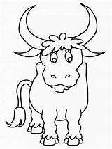Bull Coloring Printable Pages sketch template