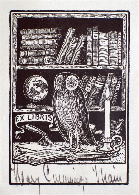 36 best owl illustrations images on pinterest owl illustration owls and barn owls