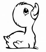 Duck Coloring Baby Drawing Duckling Pages Cute Line Cartoon Clipart Cliparts Donald Color Printable Drawings Animal Ducklings Clip Way Make sketch template