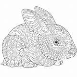Zentangle Hase Ausmalen Stylized Malvorlage Estilizado Coelho Coloringfolder Colouring Ilustração Hare sketch template