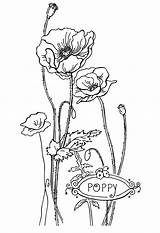Kids Poppy Colouring Bestcoloringpagesforkids sketch template