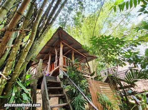 roywan treehouse farmhouse phatthalung thailand