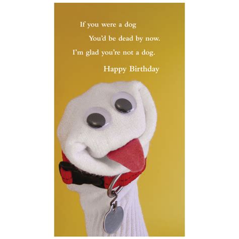 quiplip happy birthday greeting card from the sock ems collection