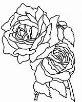 Coloring Roses Pages Rose Flower Realistic Two Single Printable Skull Drawing Stem Mandala Cross Garden Long Heart Bunch Drawings Skulls sketch template