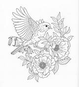 Coloring Pages Adult Nature Bird Book Animal Colouring Adults Flower Color Print Drawing Books Drawings Stencil Harmony Pg Colour Choose sketch template
