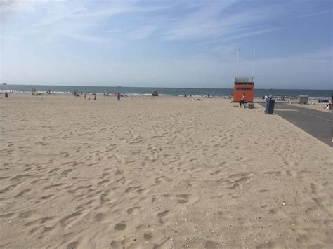 strand van hoek van holland  alles wat  moet weten voordat je gaat tripadvisor