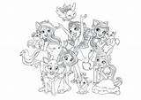 Enchantimals Coloring Pages Wonder Magical Girls sketch template