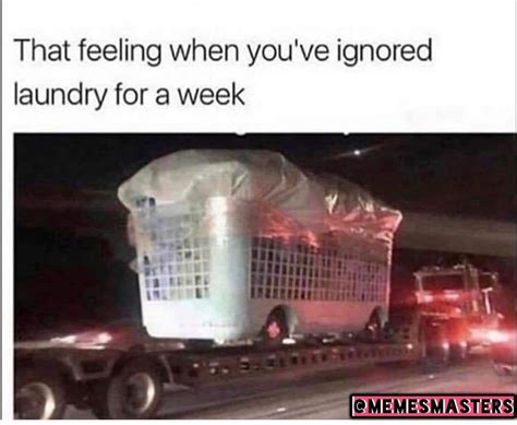 Laundry Week Meme By Cookiedough Memedroid