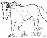 Mare Coloring Horse Miniature Pages Template Drawings sketch template