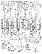 Coloring Forest Foxes Fox Woodland Adult Printable Pages Colouring Fantasy Diy Etsy Drawing Tree Description Wall Etsystatic Sold sketch template