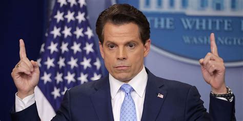 scaramucci i m not steve bannon i m not trying to suck my own cock