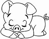 Coloring Pages Cute Pigs Pig Sleeping Popular sketch template