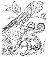 Coloring Coral Pages Reef Fish Drawing Predators Color Kidsplaycolor Octopus Kids Ocean Sheets Adult Getdrawings sketch template