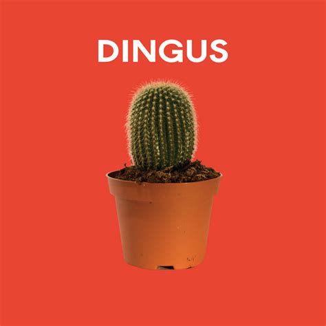 Dingus By Dingus On Spotify