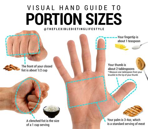visual hand guide  portion sizes  zach rocheleau medium