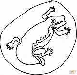 Salamander Salamandra Colorare Disegni Sasso Ausmalbild Kategorien sketch template