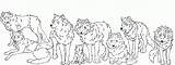 Wolf Coloring Pages Pack Family Anime Hunting Printable Template Kids sketch template
