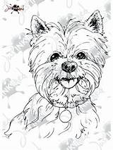 Coloring Yorkie Pages Westie Printable Terrier Getcolorings Head Highland Getdrawings Color sketch template