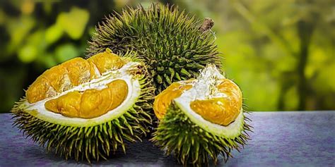 Durian Fruits And Sex Drive Aphrodisiac