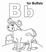 Buffalo sketch template