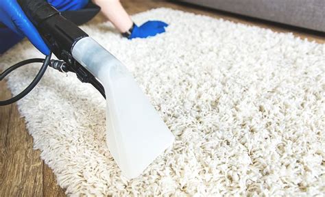 clean  shag rug cleaning area rugs rug cleaning diy clean
