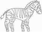 Zebra Colorat Plansa Planse Animale Clopotel sketch template