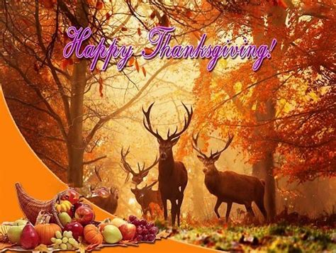 happy thanksgiving images 2018 funny thanksgiving pictures photo