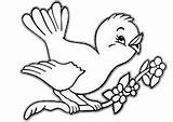 Bird Coloring Pages Cute Printable Birds Color Print Pdf 3d Smiling sketch template
