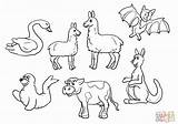 Llama Mama Coloring Printables Pages Set Printable Red Pajama Elf Shelf Misses Activities Mad Template Drawing Crafts Cat Animals Popular sketch template
