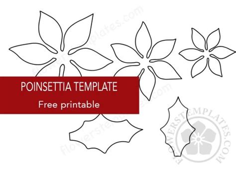 poinsettia flowers templates part