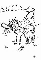 Vaca Vacas Pintar Ternero sketch template