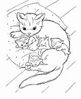 Coloring Cats Kittens Printable Pages Filminspector sketch template