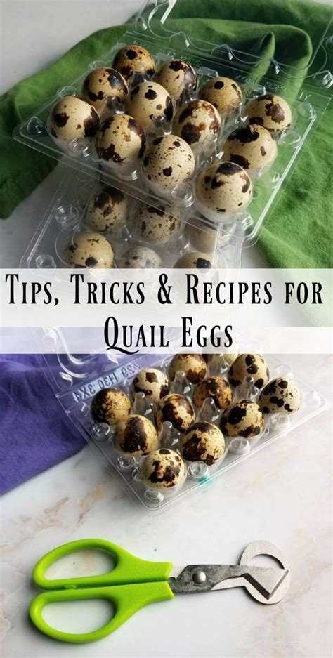 Tips Tricks And Recipes For Quail Eggs Cooking With Carlee