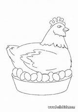 Coloring Chicken Pages Easter Egg Drawing Color Hen Kids Getcolorings Getdrawings Popular sketch template