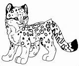 Leopard Coloring Snow Baby Pages Leopards Ocelot Printable Drawing Cute Cartoon Ausmalbilder Color Print Amur Getcolorings Getdrawings Coloringbay Designlooter 503px sketch template